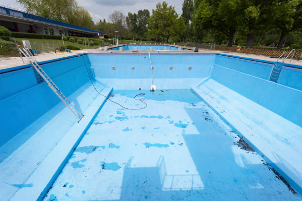 Best Flood restoration services  in Holland, MI