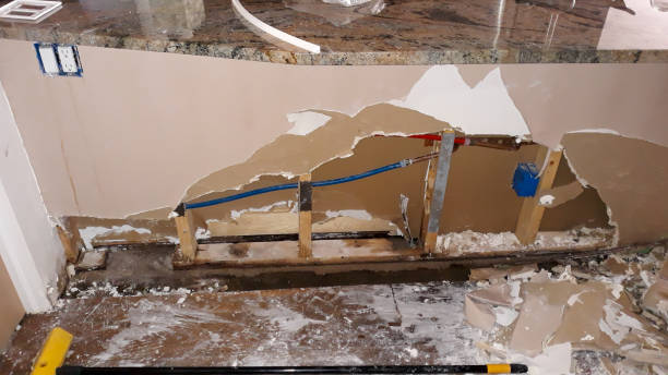 Best Flooded house restoration  in Holland, MI