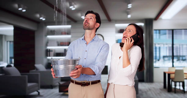 Best Local water damage restoration  in Holland, MI